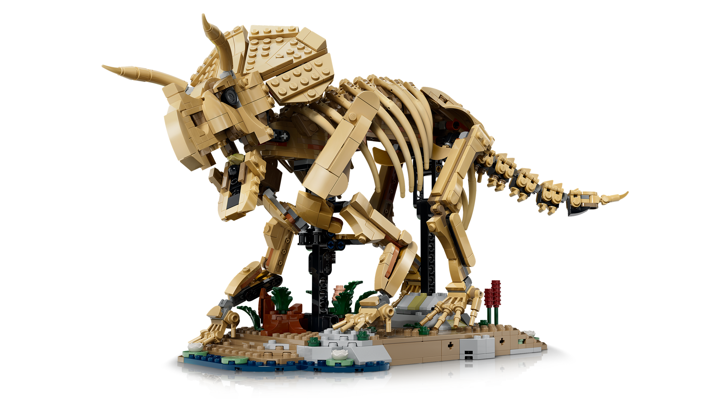 LEGO Triceratops fossil skeleton model, imported from the UK