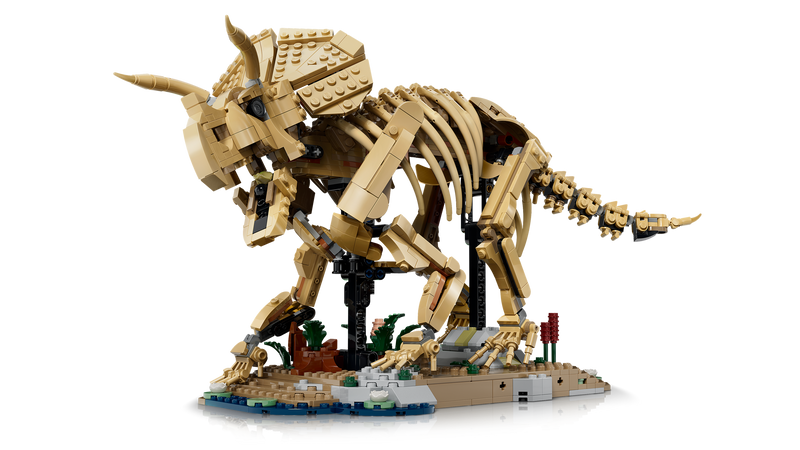 LEGO Triceratops fossil skeleton model, imported from the UK