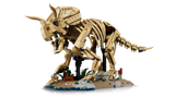 LEGO Triceratops fossil skeleton model, imported from the UK