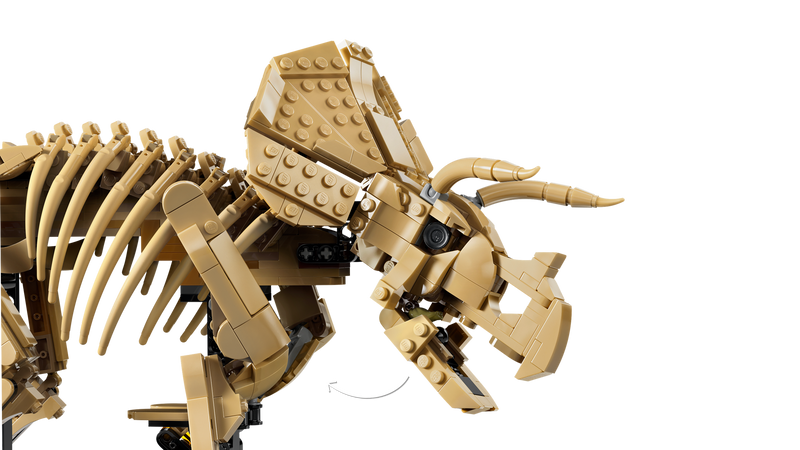 LEGO Triceratops fossil skeleton model, imported from the UK