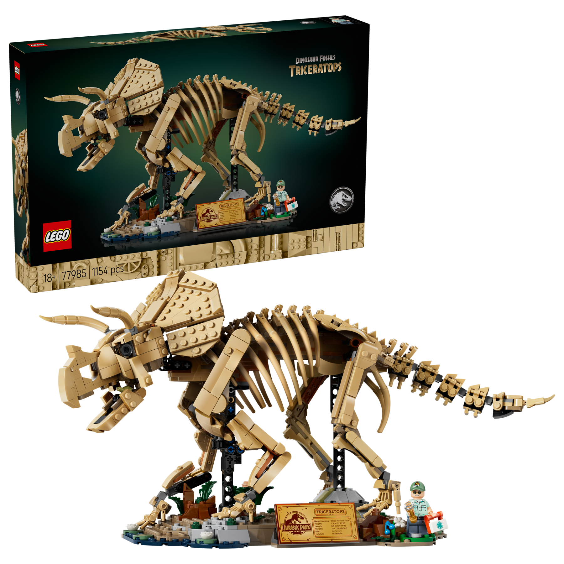 LEGO Triceratops fossil skeleton model, imported from the UK
