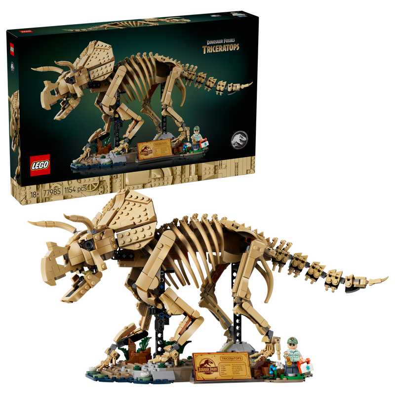 LEGO Triceratops fossil skeleton model, imported from the UK