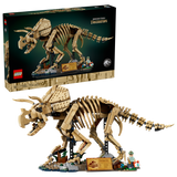 LEGO Triceratops fossil skeleton model, imported from the UK