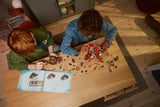 LEGO DREAMZzz Dino Jet 2-in-1 dinosaur building toy, UK version