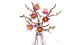 LEGO Magnolia Branches building set 435 pieces - British product
