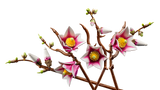 LEGO Magnolia Branches building set 435 pieces - British product