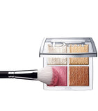 Blush Brush N°16