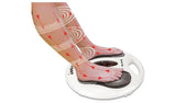 Bodi-Tek Circulation Plus Active Foot Massager