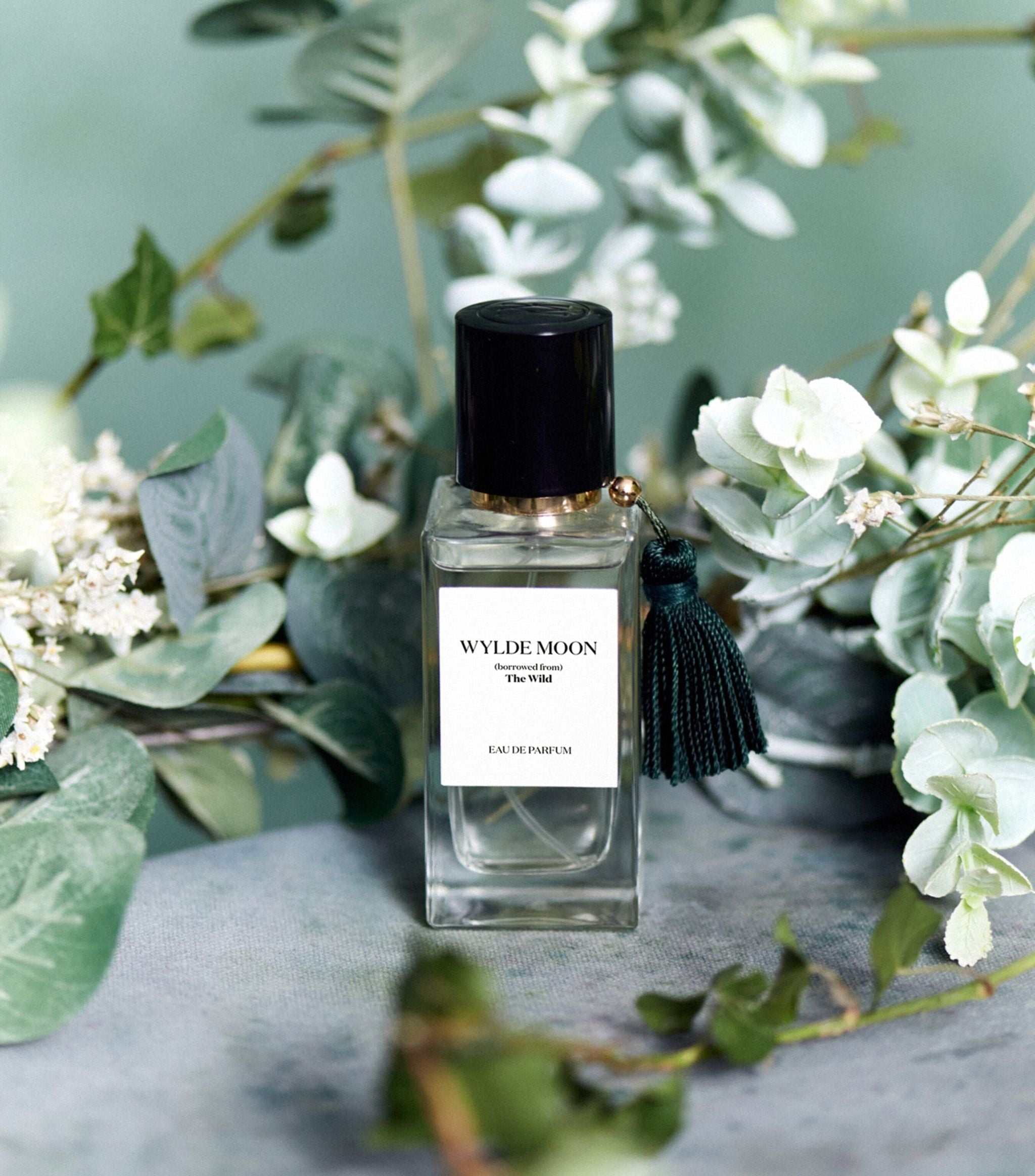 (borrowed from) The Wild Eau de Parfum (50ml)