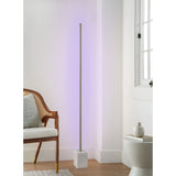 Bridgeport Designs Stellar RGB LED Floor Lamp