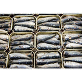 Brindisa Ortiz Prime Sardines a la Antiqua    140g