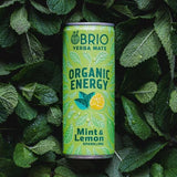 BRIO Organic Energy Drink Mint &amp;amp; Lemon   250ml