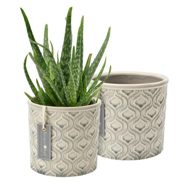 Burgon &amp;amp; Ball Venetian Plant Pot Large 16cm