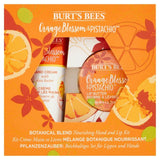 Burt's Bees Hand and Lip Kit, Orange Blossom &amp;amp; Pistachio Default Title