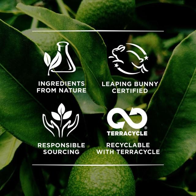 Burt's Bees Tinted Lip Balm Red Dahlia   4.25g