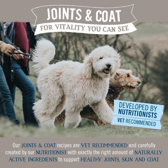 Butcher's Joints &amp;amp; Coat Dog Food Tins   6 x 390g