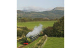 Buyagift Cream Tea And Steam Gift Experience For Two