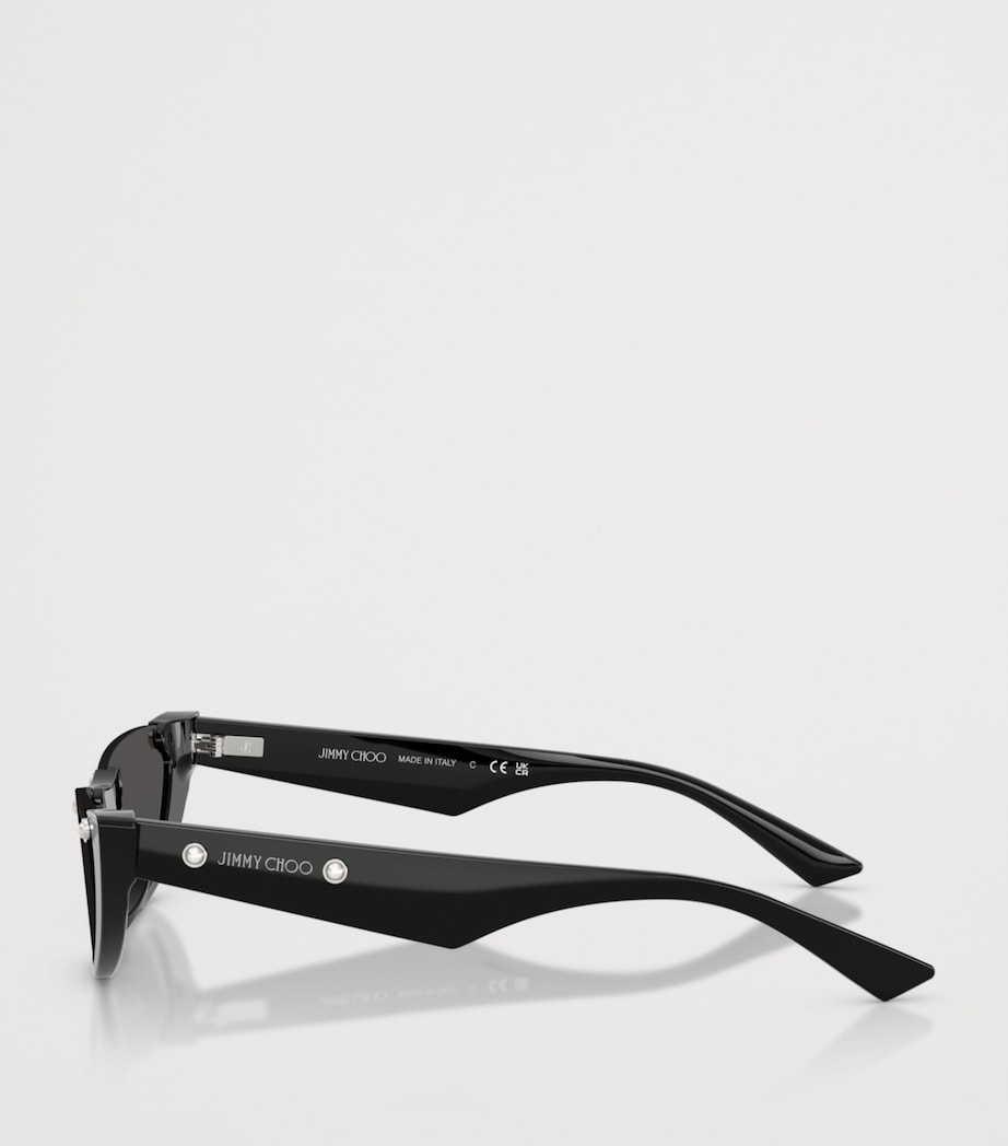 Jimmy Choo oval sunglasses acetate frame, UK version