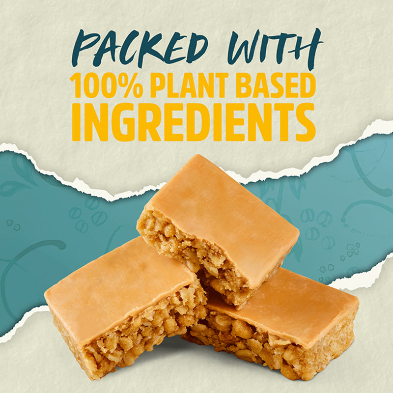 Trek salted caramel protein flapjack 50g - British product