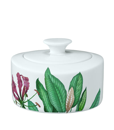 Harrods Villeroy & Boch Avarua Sugar and Jam Pot- Buy online at McGrocer