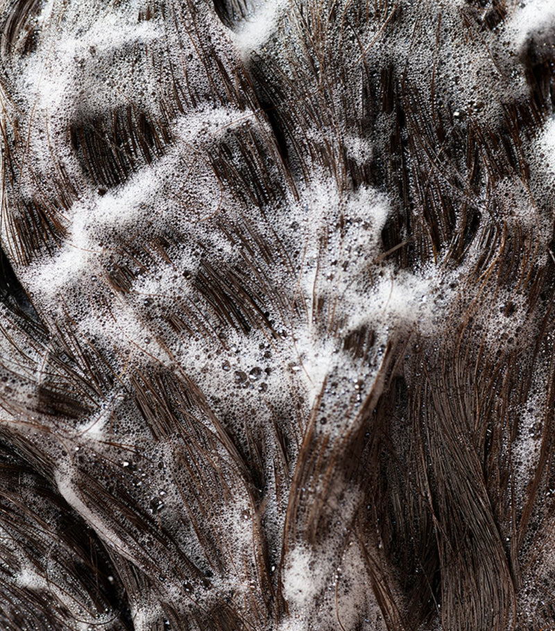 Oribe Signature shampoo refill 1000ml, imported from the UK