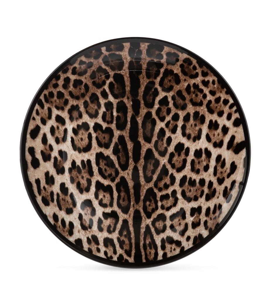 Dolce&Gabbana leopard print dinner plates 26cm, UK version