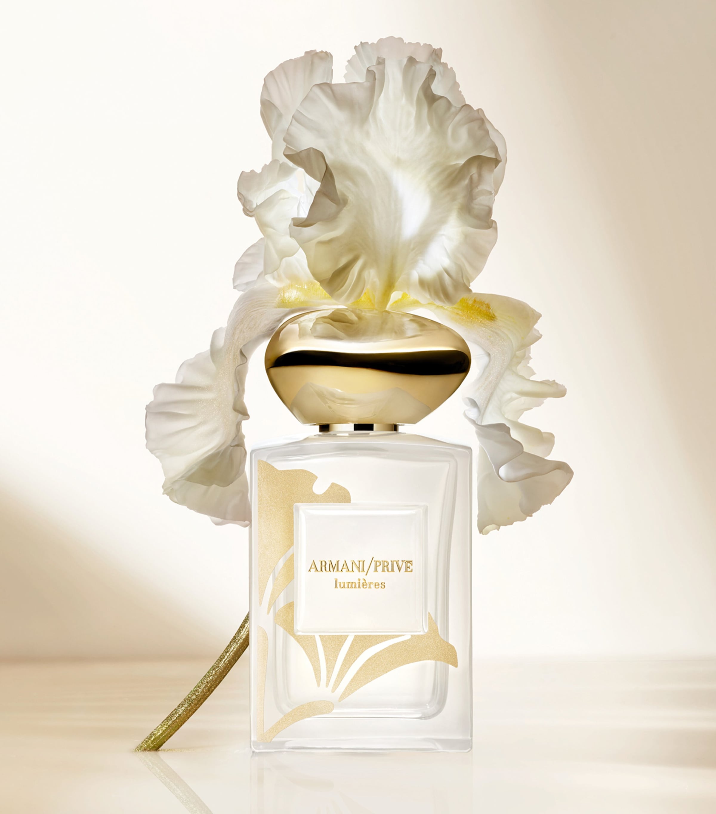 Armani Lumières Eau de Parfum 100ml - British product