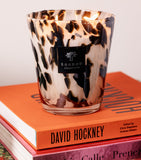 Baobab Black Pearls Candle with rose ginger scent 16cm - British product