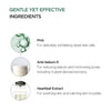 Heartleaf 77% Clear Pad 160ml facial pads, UK version