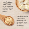 SuperSelf Lion's Mane Mushroom Powder 100g (British brand)