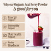 Seven Hills Organic Acai Berry Powder 200g, UK version