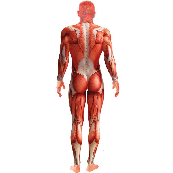 Smiffys Anatomy Man Costume red bodysuit and mask - British product