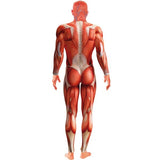 Smiffys Anatomy Man Costume red bodysuit and mask - British product