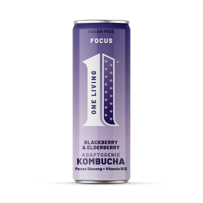 Holland & Barrett One Living FOCUS Blackberry & Elderberry Kombucha 250ml- Buy online at McGrocer