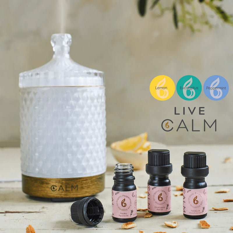 B Calm Live Calm essential oil diffuser set, imported from the UK