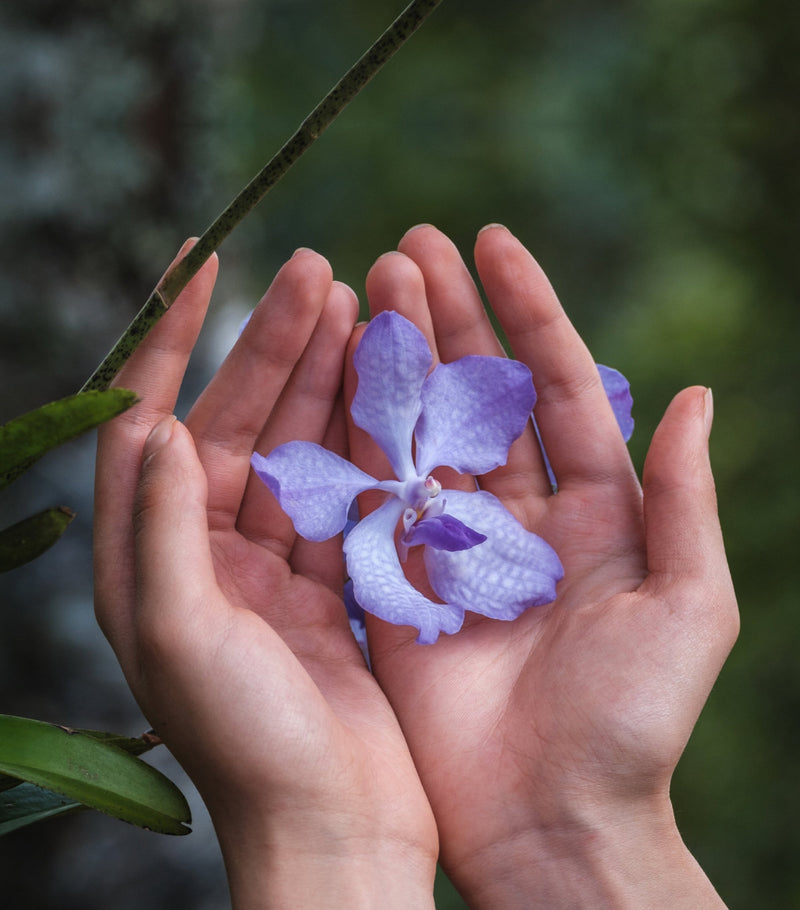 Guerlain Orchidée Impériale Longevity Rich Cream 50ml - British product