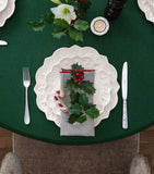 Villeroy & Boch porcelain plates set of 12 (British brand)