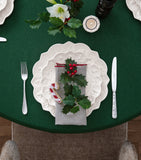 Villeroy & Boch porcelain plates set of 12 (British brand)
