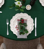 Villeroy & Boch porcelain plates set of 12 (British brand)