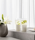 Villeroy & Boch long drink tumblers Rock Blanc 430ml (British brand)
