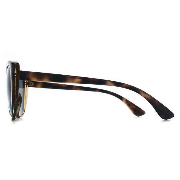 Armani Exchange AX4111SU brown sunglasses, UK version