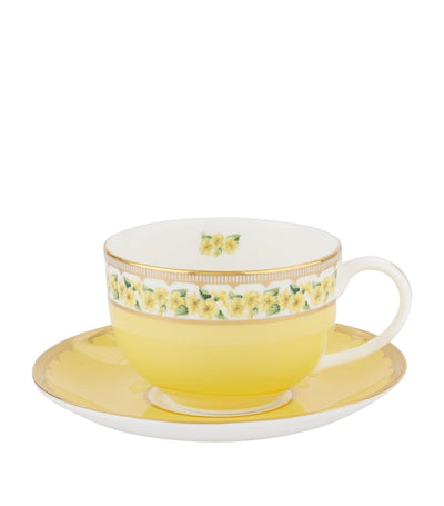Harrods Halcyon Days Shell Garden Floral Teetasse und Untertasse aus feinem Knochenporzellan – Online bei McGrocer kaufen