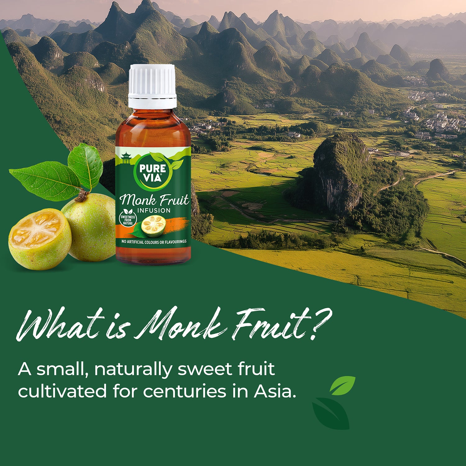Pure Via monk fruit liquid sweetener 30 ml - British product