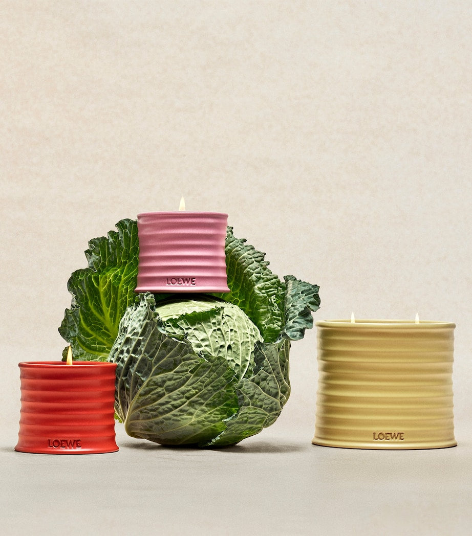 LOEWE Small Honeysuckle Scented Candle, UK version