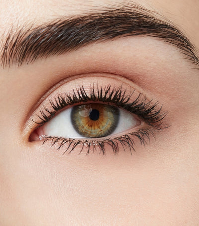 Mascara Volumisant Noir Intense à Finition Longue Durée Harrods - Acheter en ligne chez McGrocer