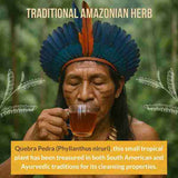 Rio Amazon Quebra Pedra herbal tea teabags 90 count - British product