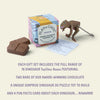 PLAYin CHOC dinosaur gift set with organic chocolates, imported from the UK