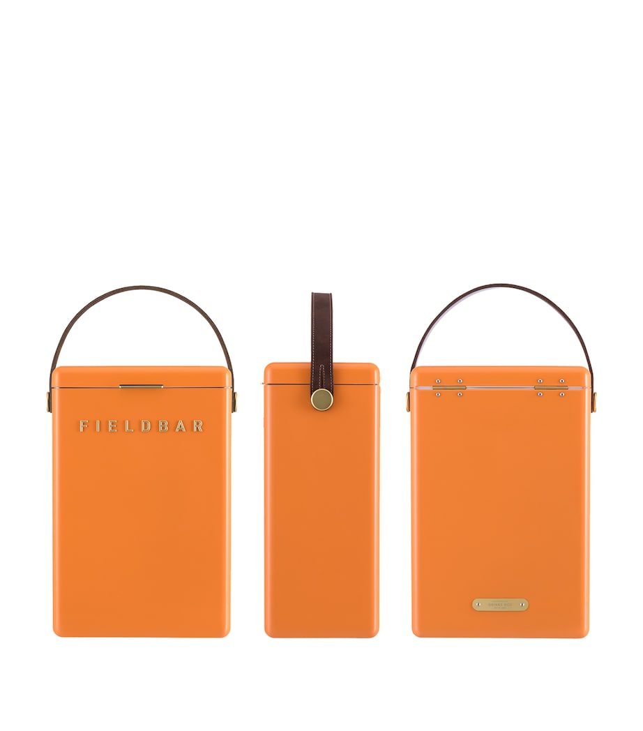 Fieldbar drinks box cooler with interchangeable straps 10L - British product