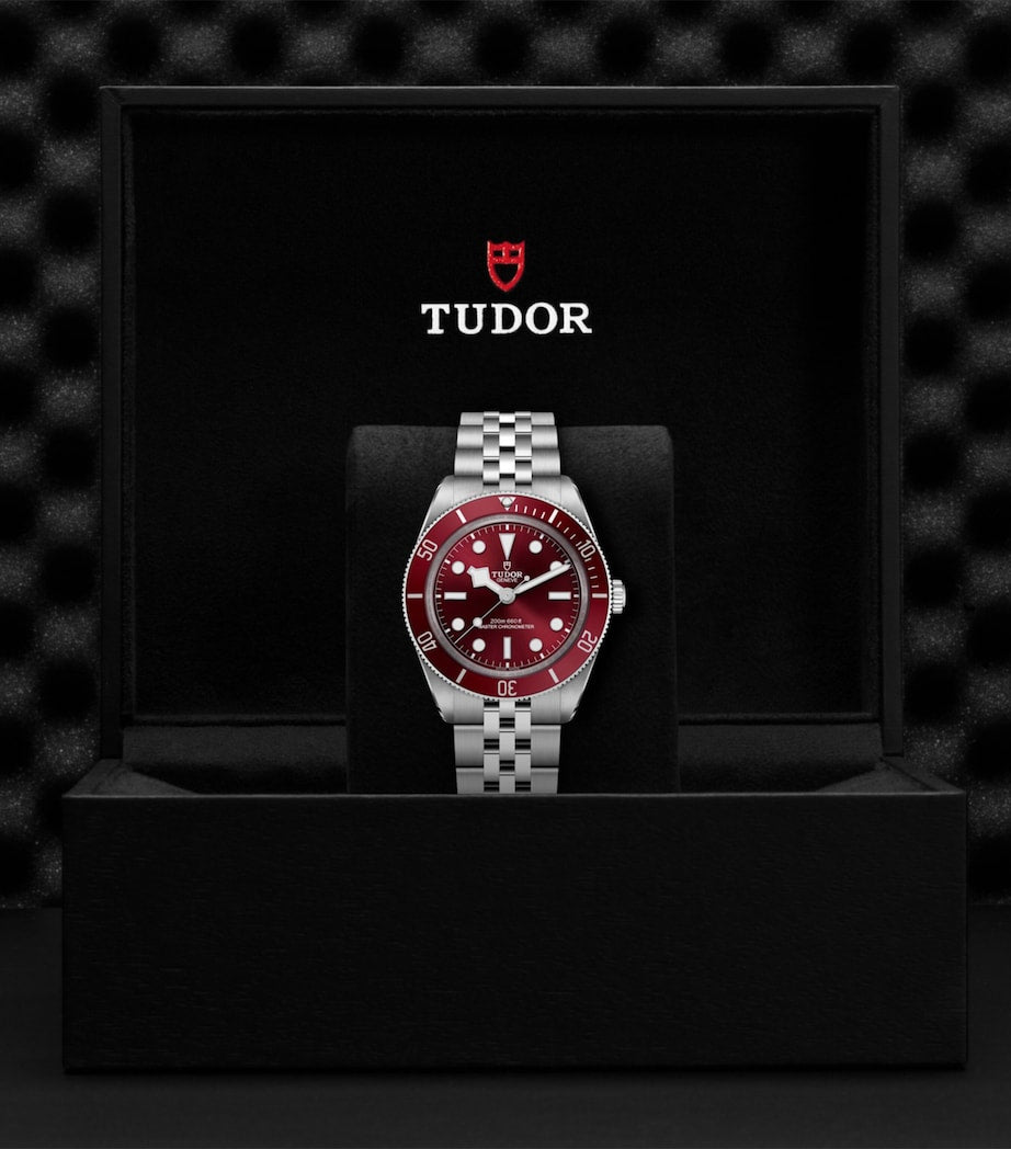 TUDOR Black Bay 58 watch 39mm (British brand)