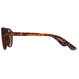 Superdry Palmsprings men's sunglasses tortoise brown green, imported from the UK